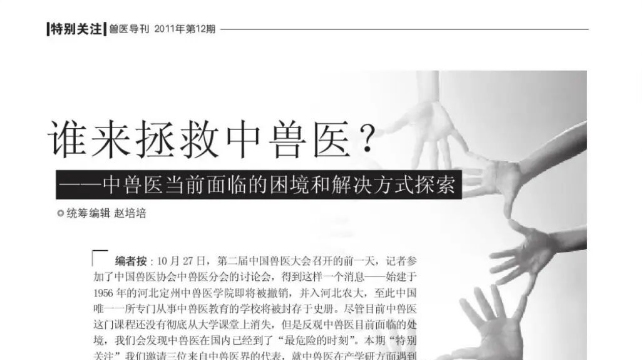 宠物也能做针灸了：全国2000家宠物医院已标配中兽医，“曾让全身瘫痪柯基重新奔跑”