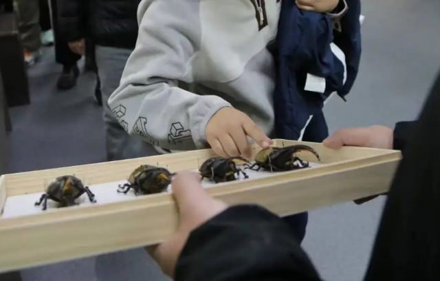 “春游花朝·2026 济南花朝荟”丨济南动物园科普馆里探秘昆虫世界