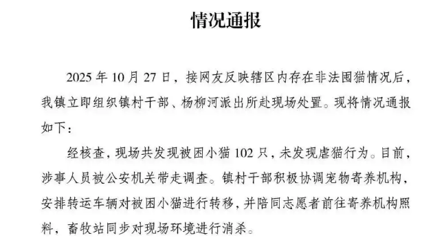 官方通报“成都一空置房非法囤猫”