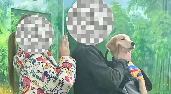 天津动物园回应游客带宠物看熊猫，已及时制止