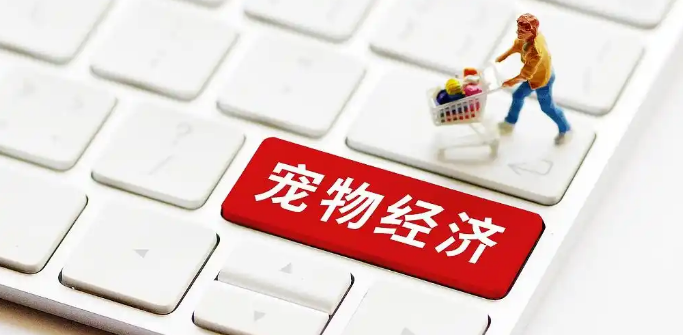 淄博：宠物经济玩出新花样 激发消费新动能