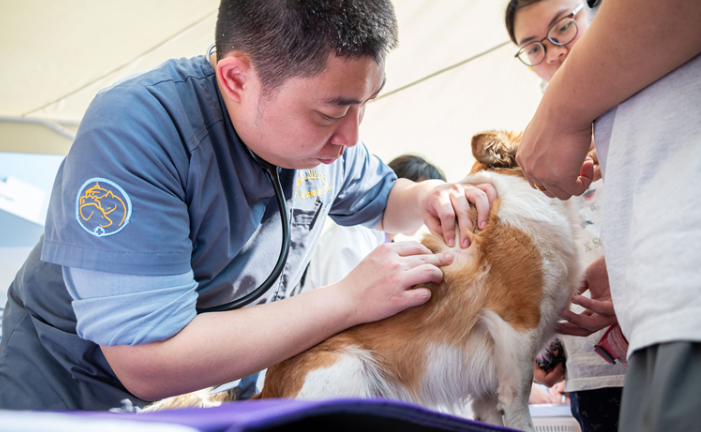 科学养宠，温情相伴：第十九届华南（广州）宠物嘉年华在华农举行