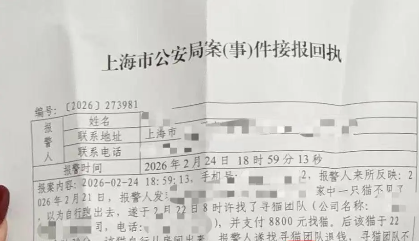 花高价寻宠发现猫咪还在室内，寻宠团队拒绝退费引纠纷