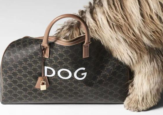 时尚圈的终极战场，为何是毛孩子