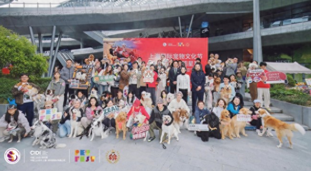 首项中外合作宠物赛事“摩纳哥狗狗明星赛”上海西岸启幕