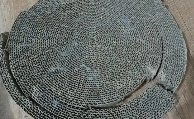 他丢弃的猫抓板，却被流浪猫当成珍宝，用执着赌赢了余生幸福