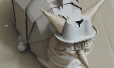 男子用纸壳给猫咪做了一身铠甲，填补了冬天没有蚊子的漏洞