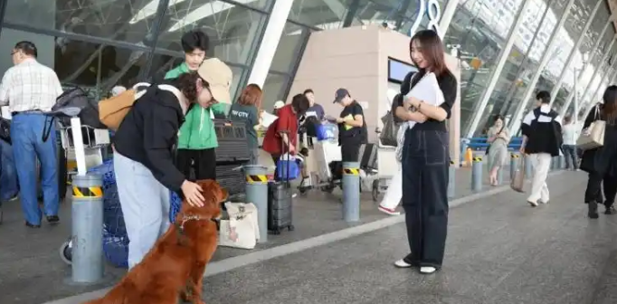 携宠出境游咨询量翻倍：航司酒店争抢“宠物友好”新蓝海