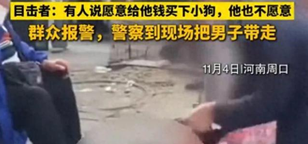 男子嫌50元买的狗不活泼，退款遭拒后当街摔死小狗，被行拘5日