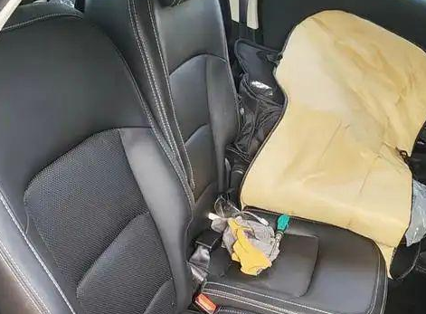 拆掉副驾让爱犬乘坐，刹车时狗子直撞控制台，网友笑评物理课堂