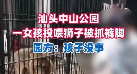 “狮爪惊魂”为动物园“投喂风”敲响警钟