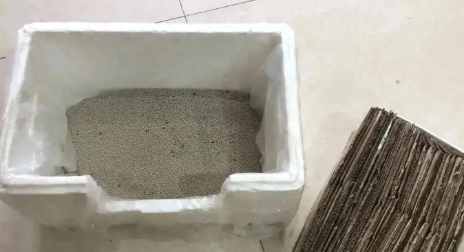 养猫两个月花20元，朋友说我对猫太抠门，结果它过得比谁都幸福