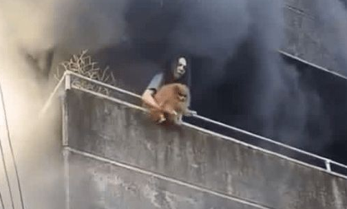 工厂陷火海生死一线，菲女先救两爱犬再逃生