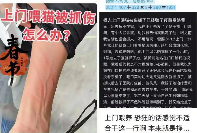 春节假期宠物上门喂养“狂赚”16万？也有“血的教训”