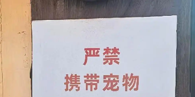 天津动物园回应游客带宠物看熊猫，已及时制止