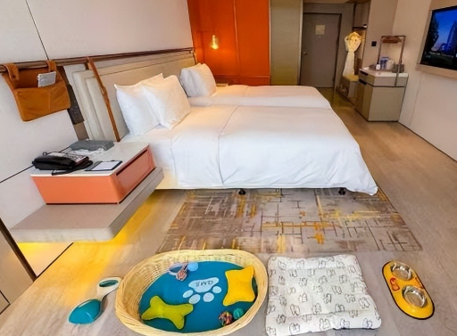 当萌宠邂逅桃花源 平谷区文旅消费券邀您共赴冬日之约