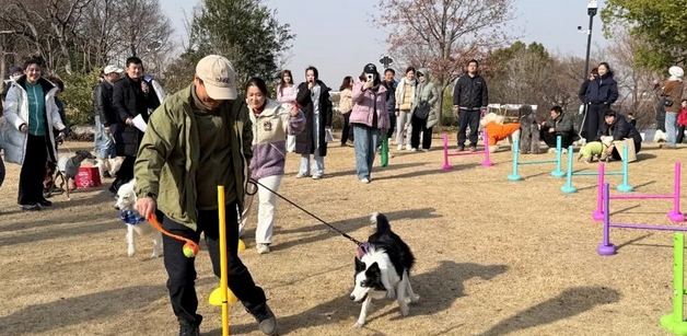 “毛孩子”在泰晤士小镇开派对！