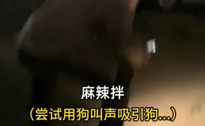 网友家的狗走丢了，引得全小区都下楼买麻辣拌…