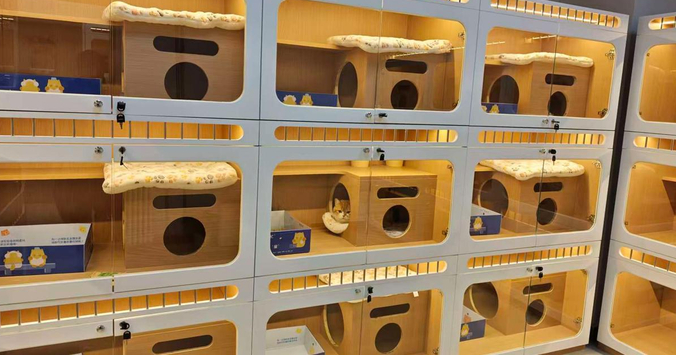 可带宠物进客舱！河南首个宠物候机厅正式上线