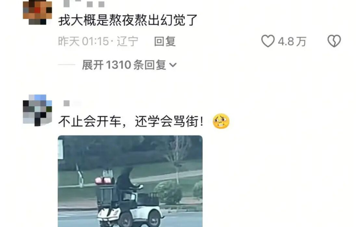 拉布拉多独自驾电动车上路？为啥不能狗开车？警方回应