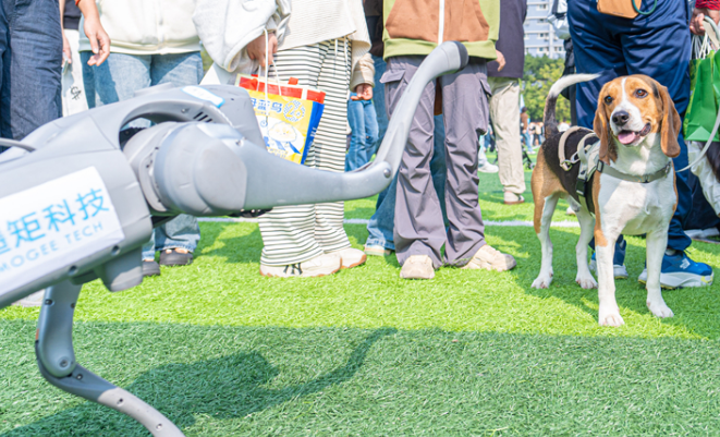 科学养宠，温情相伴：第十九届华南（广州）宠物嘉年华在华农举行