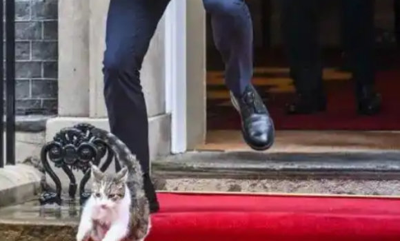 斯塔默上海偶遇捕鼠官：我们得把“拉里”也带回去