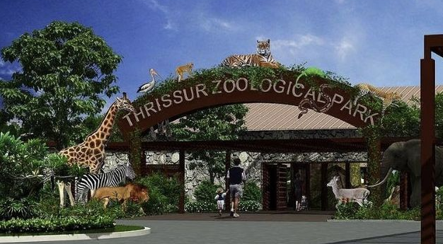 印度新动物园开幕不到一个月突发惨剧：10头梅花鹿疑遭流浪狗夜袭死亡