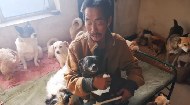 主人因病去世，提前铺好后路，狗：你还是带我走吧！ 