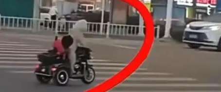 两只宠物狗骑电动车上路，交警回应