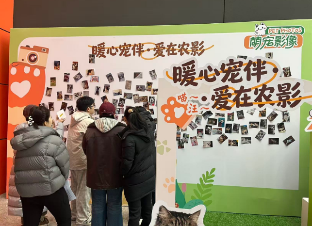 “百城千品”助力产业联动 宠物用品市集温暖启幕