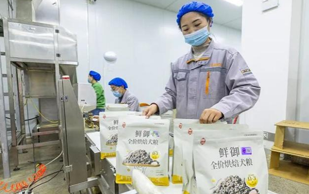 千亿赛道上的破圈突围 宿州竞逐宠物经济为什么能？