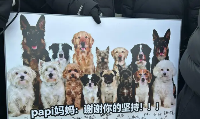 投毒致9条犬只被毒死，主人辞职追凶1000多天，一审宣判