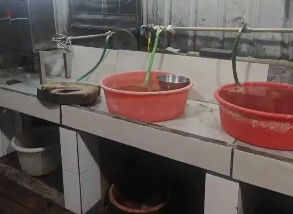 广东佛山一私房菜馆被曝宰杀活猫煲“龙虎凤”，“有白猫被抱到后厨屠宰台”，当地回应