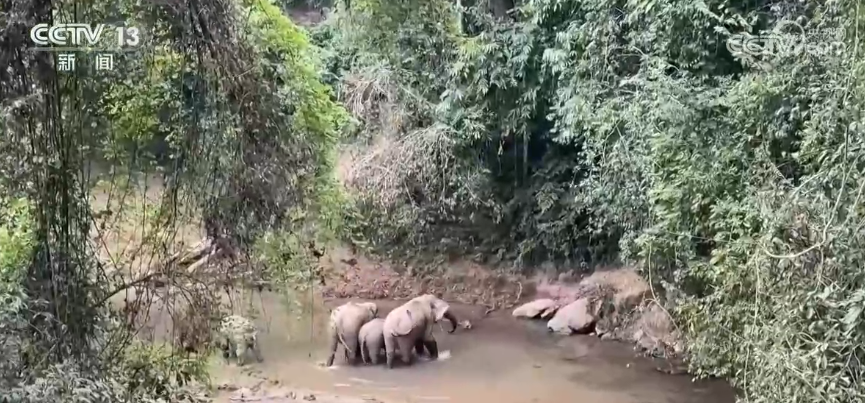 亮眼“生态答卷”背后是一个个鲜活的生命故事