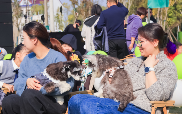沪上宠圈新天花板！带上你的“修狗”，去金山百家村打卡