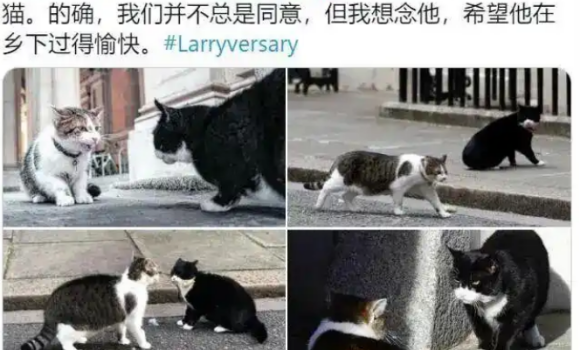 斯塔默上海偶遇捕鼠官：我们得把“拉里”也带回去