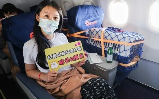 一群人一群狗一起玩 带宠物旅行，成了一门生意