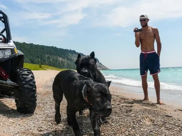 时尚圈的终极战场，为何是毛孩子