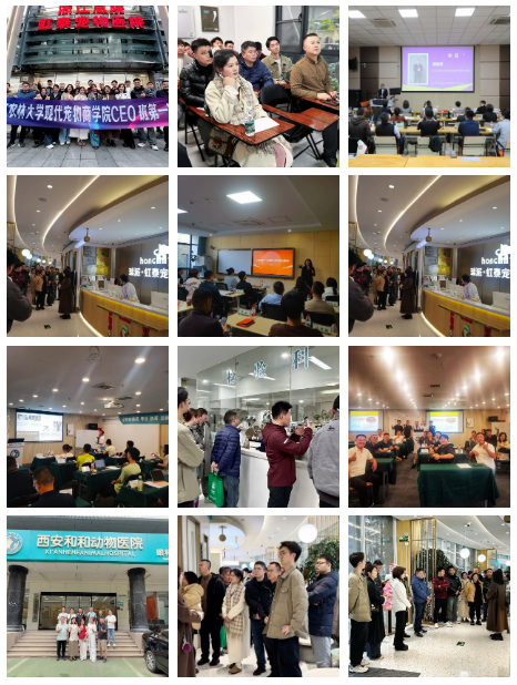 浙江农林现代宠物商学院CEO班第二期开始招募同学啦！