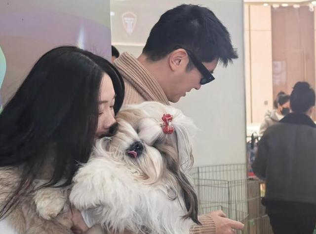 偶遇杜江夫妇参加犬展，霍思燕穿皮草贵气十足