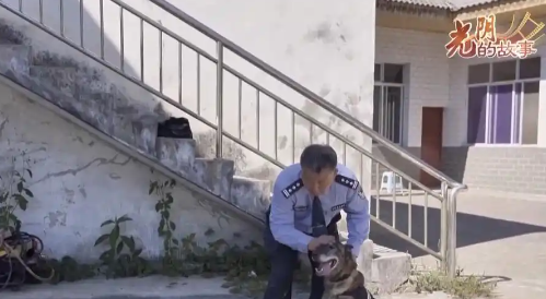生死考验默契相守 民警与警犬“无情”的十一年