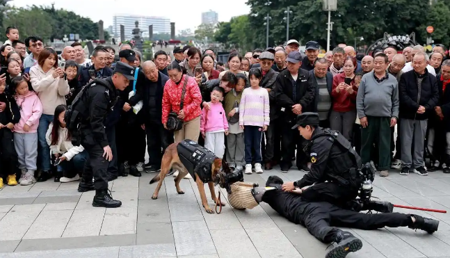 绵阳：警犬机器狗同台秀技，流浪犬待领养！