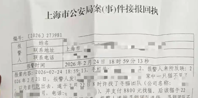 上海女子花8800元雇团队寻猫，结果物业发现就在屋内