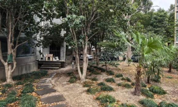 流浪猫引发邻里困扰，怎么办？