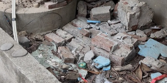 事发莆田一小区，流浪狗半个月内咬了3人！街道已介入