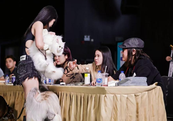 打造人宠时尚盛事 宠物时装周即将开幕