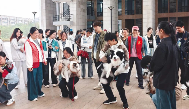 惊！十五只狗狗“空降”校园！