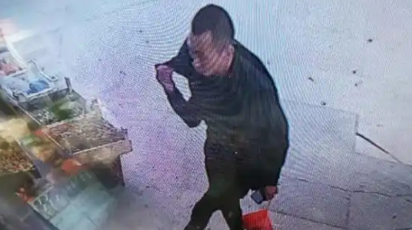 郑州拉布拉多犬死亡案：监控揭示邻居行凶，法律严惩凶手