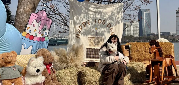 “毛孩子”在泰晤士小镇开派对！