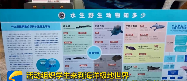 2025年水生野生动物保护科普宣传月主题活动在烟台市蓬莱区开展